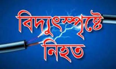 ভালুকায় মাছ ধরতে গিয়ে বিদুৎপৃষ্টে ১ জনের মৃত্যু