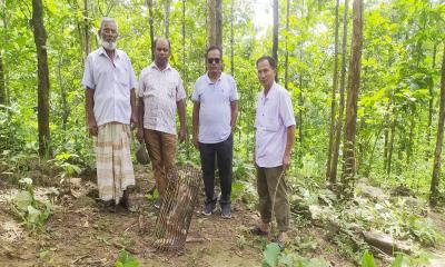 রজ্জাবতী বানর নাড়াইছড়ি বনে অবমুক্ত