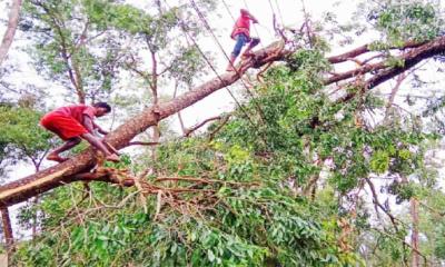হঠাৎ ঝড়ে উড়ে গেল প্রায় ৬০০ পরিবারে ঘর-বাড়ি