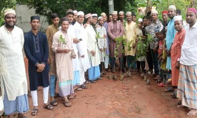 হাটহাজারীতে সামাজিক সংগঠন (হাঁছি মোস্তান শাহ (রহ.)’র বৃক্ষরোপণ