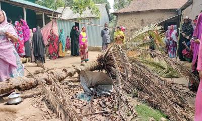 খেঁজুর গাছচাপায় গৃহবধূর মৃত্যু