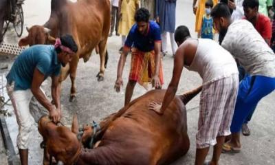 ঈদুল আজহার দ্বিতীয় দিনেও চলছে পশু কোরবানি