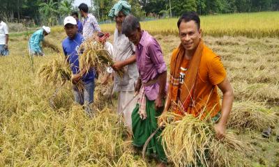 গোয়ালন্দে দরিদ্র কৃষকের পাশে কৃষক লীগ