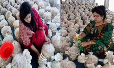 যশোরে সফল নারী উদ্যোক্তার নাম ফারজানা ইয়াসমিন