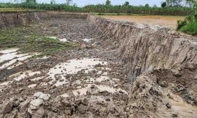 ভেড়ামারা কৃষি ও সরকারি জমির মাটি হরিলুট