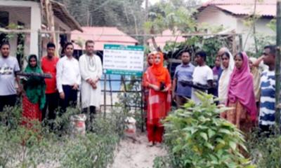 নড়াইলে ৬২৯ কৃষকের পারিবারিক পুষ্টি বাগান