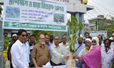 পবিপ্রবিতে কৃষক প্রশিক্ষণ-চারা বিতরণ