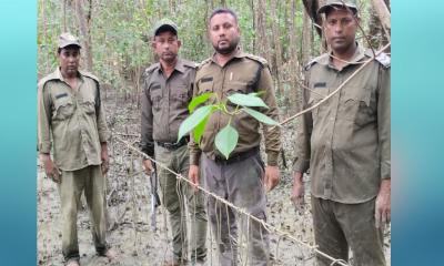 সুন্দরবনে হরিণ শিকারী গুলিবিদ্ধ