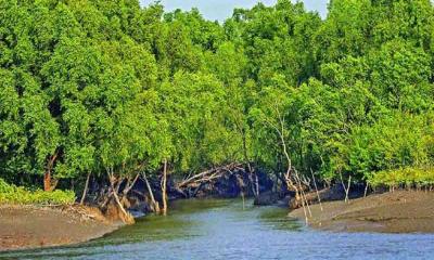 সুন্দরবনে আগ্নেয়াস্ত্রসহ ৪ জলদস্যু আটক