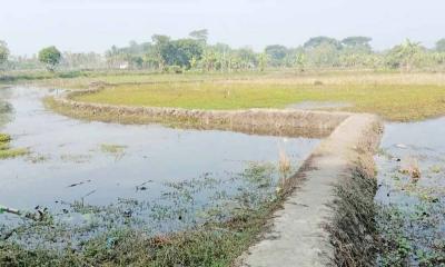 রামপালে ৩টি সরকারি খাল দখল করে মাছ চাষ