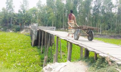 সাঁকো বেয়ে ৩৭ লাখ টাকার সেতু পার