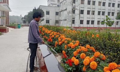 প্রতিদিন রনথের হাতে সেজে উঠে বশেমুরবিপ্রবি