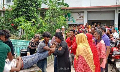 তালায় জাম গাছ থেকে পড়ে কলেজ ছাত্রের মৃত্যু
