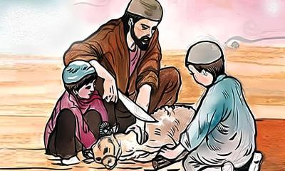 কোরবানির আগে মানতে হবে যেসব নিয়ম