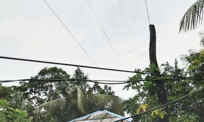 পাওয়ার গ্রীডের লাইন ঘরের উপর, প্রতিকার চাওয়ায় চাকরি থেকে অব্যাহতি