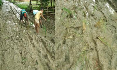 পত্নীতলায় গ্রামীণ বেহাল সড়ক সংস্কার জরুরি