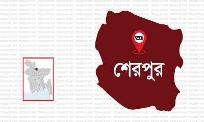 শেরপুরে জমি নিয়ে বিরোধে বৃদ্ধকে পিটিয়ে হত্যা
