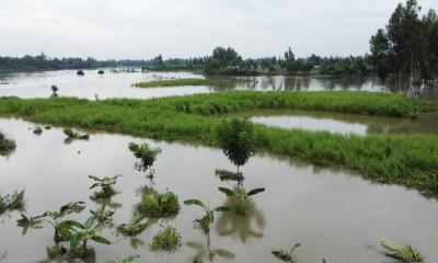 গাইবান্ধায় বিপৎসীমার ওপরে তিস্তার পানি, নিম্নাঞ্চল প্লাবিত