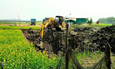 ফেনীতে মাটিখেকোদের তাণ্ডবে রক্ষা পাচ্ছে না রবিশস্যও