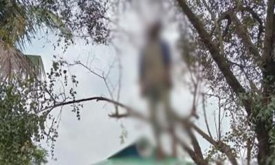 মধ্যনগরে বড়ই গাছে যুবকের ঝুলন্ত লাশ, এলাকায় চাঞ্চল্য