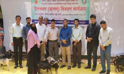 কাপ্তাইয়ে মৎস্যজীবীদের ‘বিকল্প’ আয়ের সুযোগ