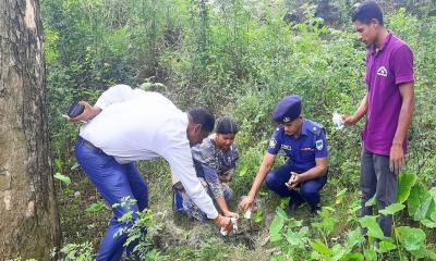 অভয়নগরে হরমোনের নামে প্রতারণা, ধ্বংস ‘সেবা গ্রীন’