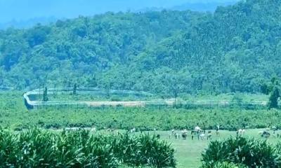 সীমান্তে আবারও বিএসএফের পুশ-ইন, আটক ২২