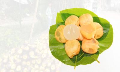 তালের শাঁস এখন শহরের ‘অতিথি’, নেই কদর!