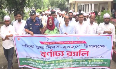 কুড়িগ্রাম নানা আয়োজনে বিশ্ব দুগ্ধ দিবস পালিত