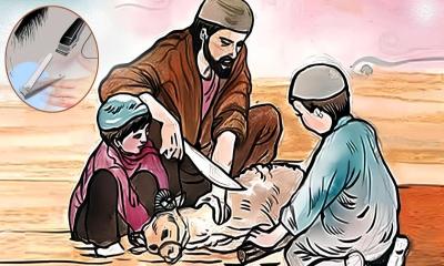 কোরবানির আগে চুল-নখ কাটা যাবে?