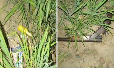 সড়কের পাশে গুলিবিদ্ধ লাশ, উদ্ধার শর্টগান