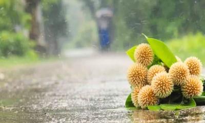 আষাঢ়ের প্রথম দিন আজ