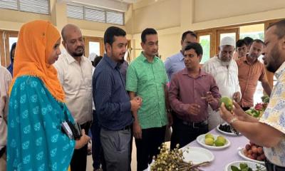 মাটিরাঙ্গায় তিন দিনব্যাপী জাতীয় ফল মেলা উদ্বোধন
