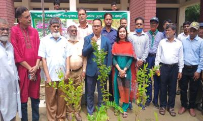 মধুপুরে একযোগে ১১০ প্রাথমিক বিদ্যালয়ে বৃক্ষরোপণ