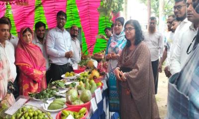 দামুড়হুদায় তিন দিনব্যাপী ফল মেলা শুরু