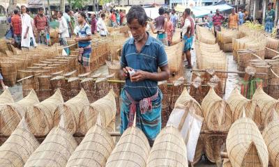 নাজিরপুর জমে উঠেছে মাছ ধরার ‘চাই’র হাট