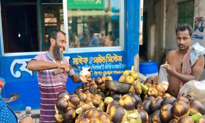 তীব্র গরমে বেড়েছে তালশাঁসের চাহিদা