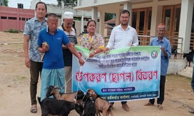 বাঘাইছড়িতে জেলেদের মাঝে ছাগল বিতরণ