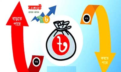 বাজেট ২০২৫-২৬: দাম বাড়তে এবং কমতে পারে যেসব পণ্যের