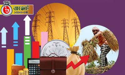 যে ওয়েবসাইট থেকে জানতে পারবেন বাজেটের সব তথ্য