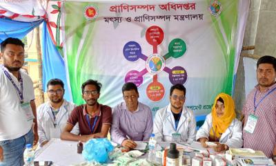 কোরবানির হাটে প্রথমবারের মতো বাকৃবি শিক্ষার্থীদের ভেটেরিনারি সেবা