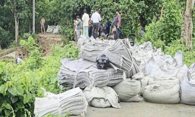 মুহুরী নদীর ভাঙন অংশে মেরামত কাজ শুরু