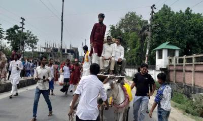 বেরোবিতে বৈশাখী আনন্দ শোভাযাত্রায় গরুর গাড়ি ও ঘোড়ার গাড়ি