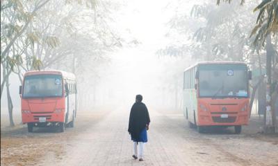 শীতের মিষ্টি আলোয় সিক্ত বেরোবি ক্যাম্পাস