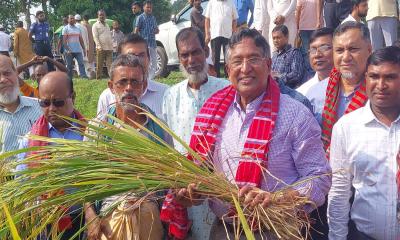 ‘সুষ্ঠু নির্বাচন করতে সরকার জাতির কাছে প্রতিজ্ঞাবদ্ধ’