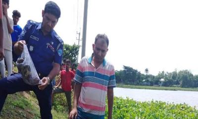 বিজয়নগরে কচুরিপানার স্তূপ থেকে অজ্ঞাত যুবকের লাশ উদ্ধার