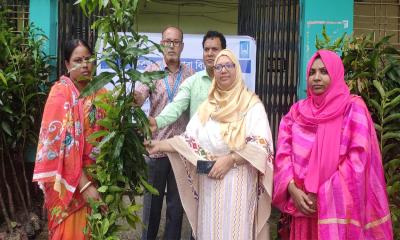 ইসলামিক রিলিফ বাংলাদেশ এর উদ্যোগে ফলজ চারা গাছ বিতরণ
