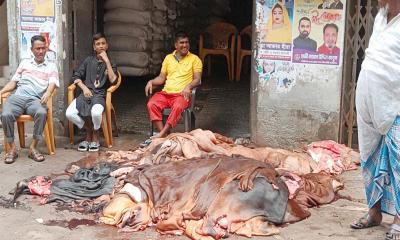 কিছুটা বেড়েছে পশুর কাঁচা চামড়ার দাম