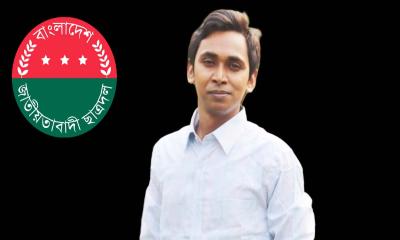 দেশের স্থিতিশীলতা বজায় রাখতে নির্বাচনের বিকল্প নেই
