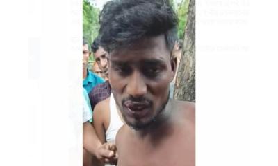 চকরিয়ায় সড়কে গাছ ফেলে ছিনতাই, আটক ১